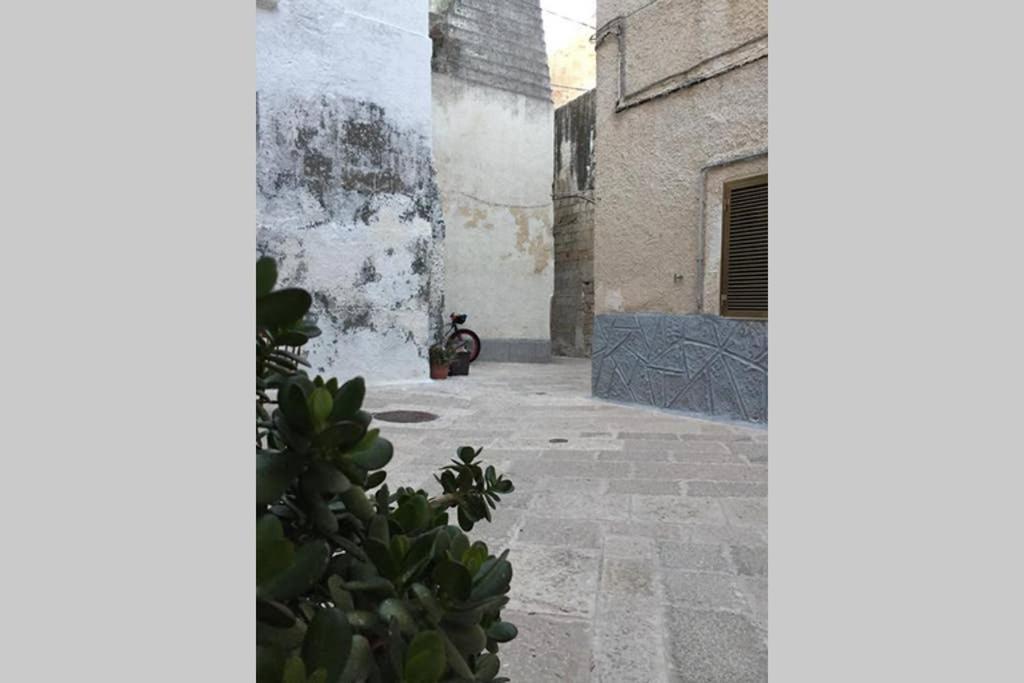 Historic Apartment In Centre Of City 100M To Sea โมโนโปลี ภายนอก รูปภาพ